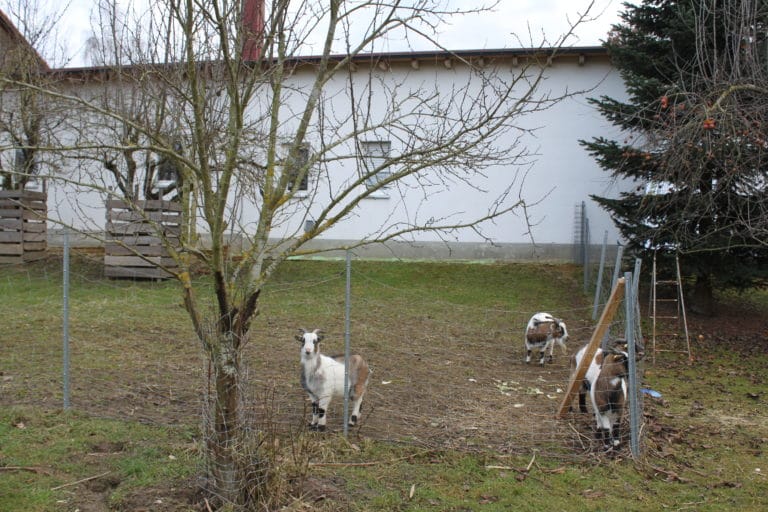 Waldgasthof Hart Freizeitanlage mit Spielplatz