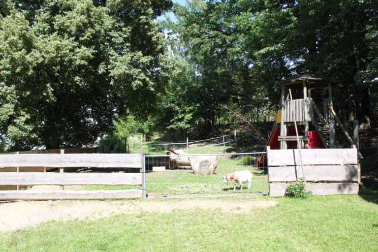 Waldgasthof Hart Freizeitanlage mit Spielplatz