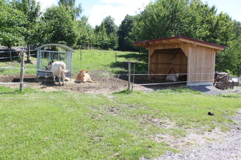 Waldgasthof Hart Freizeitanlage mit Spielplatz