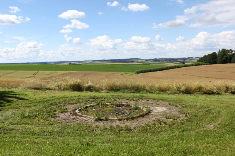 Waldgasthof Hart Lagerfeuerplatz